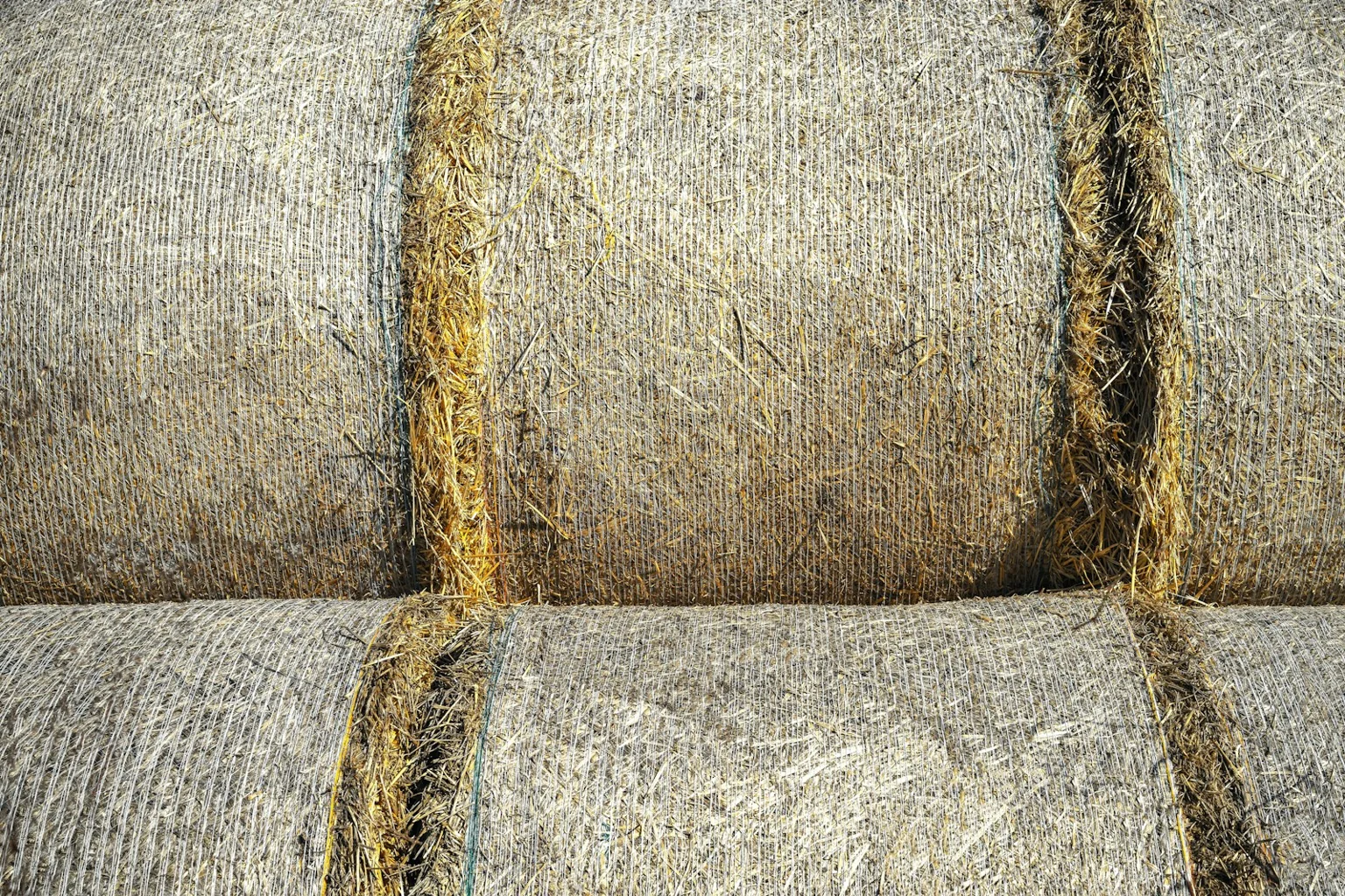The cut stems and twine of stacked rectangular hay bales